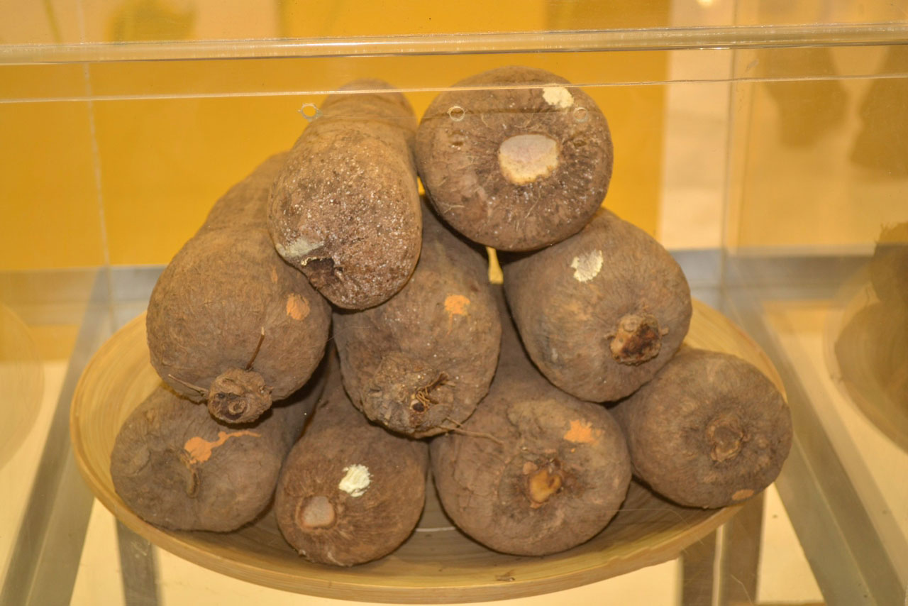 Ghana-Yams.jpg