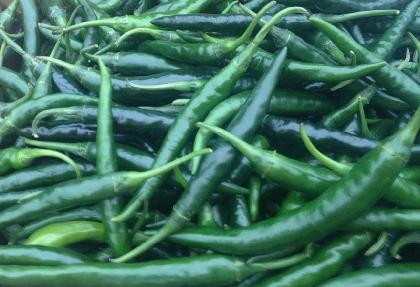 Green-chilli.jpg